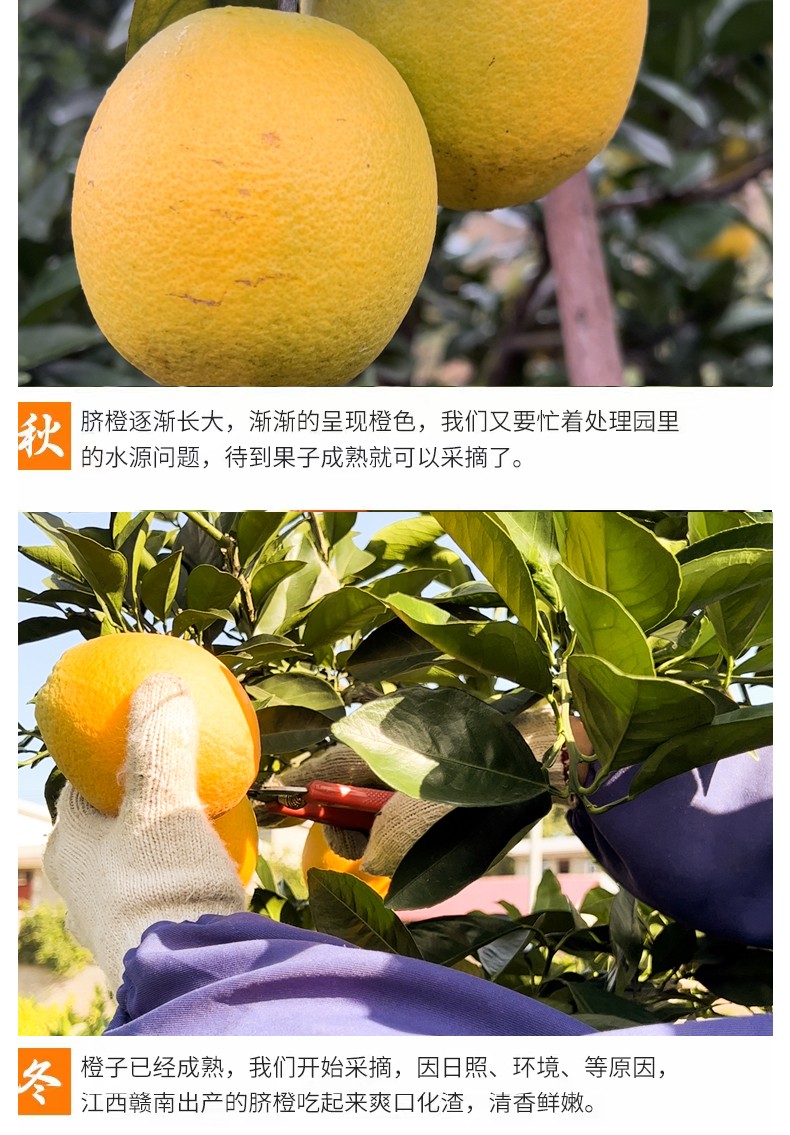 和萬(wàn)安|生態(tài)農(nóng)業(yè)|有機(jī)食品|綠色食品|稻田共養(yǎng)