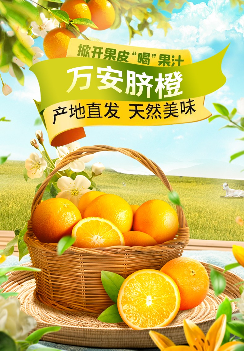 和萬(wàn)安|生態(tài)農(nóng)業(yè)|有機(jī)食品|綠色食品|稻田共養(yǎng)
