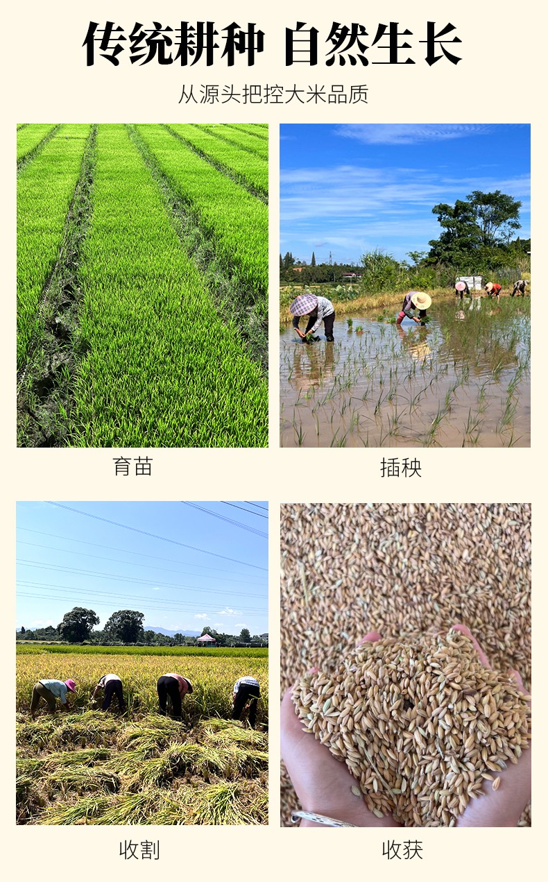 和萬安|生態(tài)農(nóng)業(yè)|有機食品|綠色食品|稻田共養(yǎng)