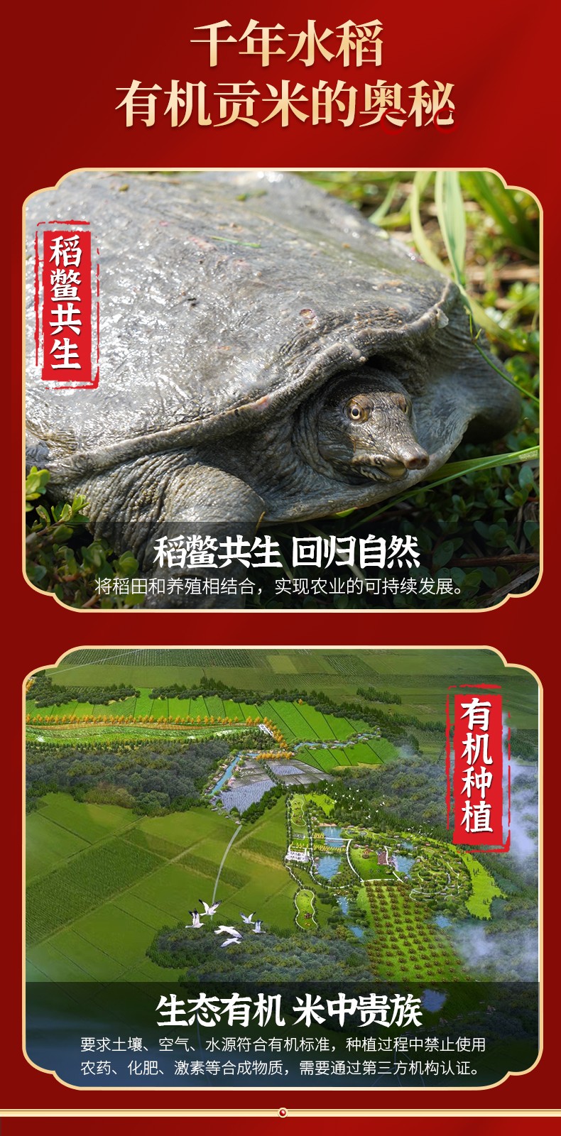 和萬安|生態(tài)農業(yè)|有機食品|綠色食品|稻田共養(yǎng)