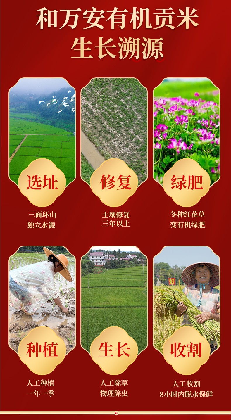 和萬安|生態(tài)農業(yè)|有機食品|綠色食品|稻田共養(yǎng)