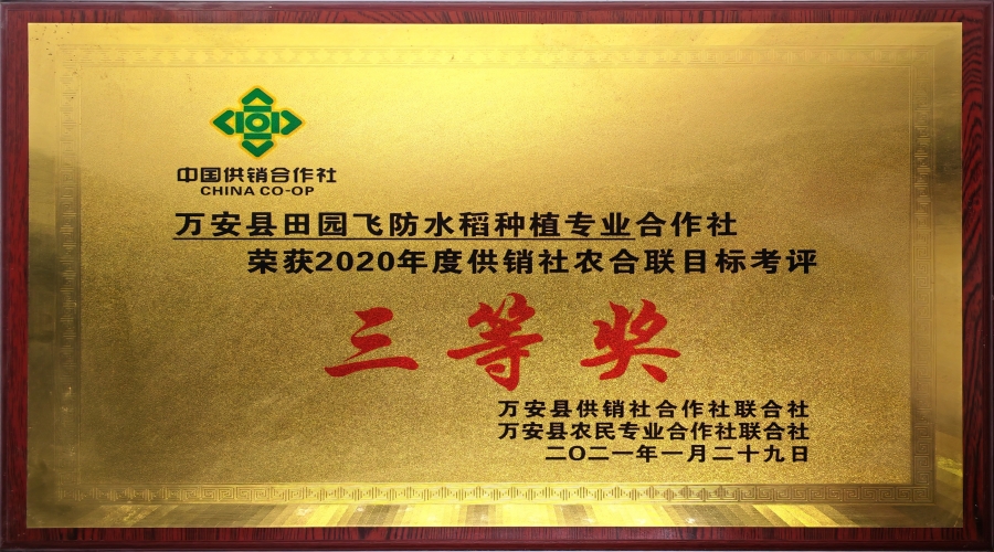 2020年度供銷社農(nóng)合聯(lián)目標考評三等獎